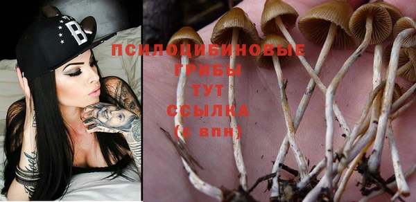 гидропоника Зеленокумск