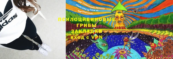 СК Инсар