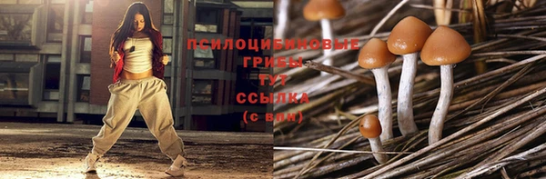 2c-b Иннополис