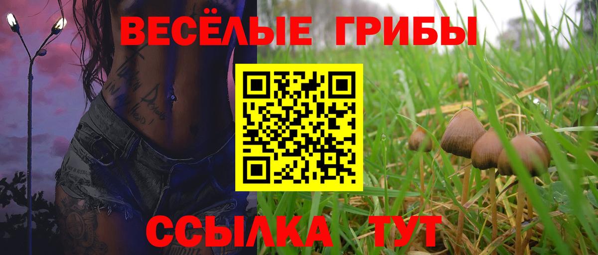 Галлюциногенные грибы прущие грибы Пятигорск
