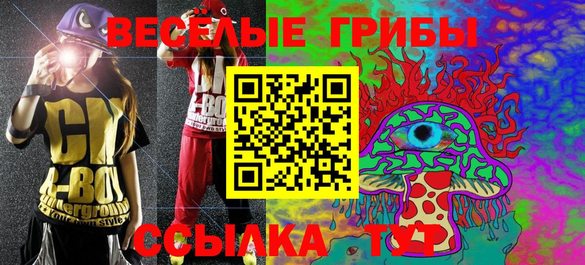 Пятигорск  Псилоцибиновые грибы Cubensis  Вход с VPN 